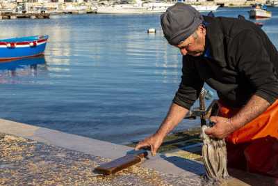 I segreti e le tecniche del rito pi� barese che c'�: il "miracolo" dell'arricciatura del polpo